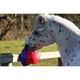 thumbnail image 4 of Talisker Bay Likit Tongue Twister Toy Red Large - 1039, 4 of 5