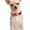 thumbnail image 2 of Binwennn Pet Collar Puppy Cat Choker PU Leather Collars For Small Pet Cat Dogs Adjustable Cat Bow Tie Cat Tie Cat Ties Puppy Bow Tie Dog Color Light Clip Leather Dog Leashes for Small Dogs Adult Dog, 2 of 7