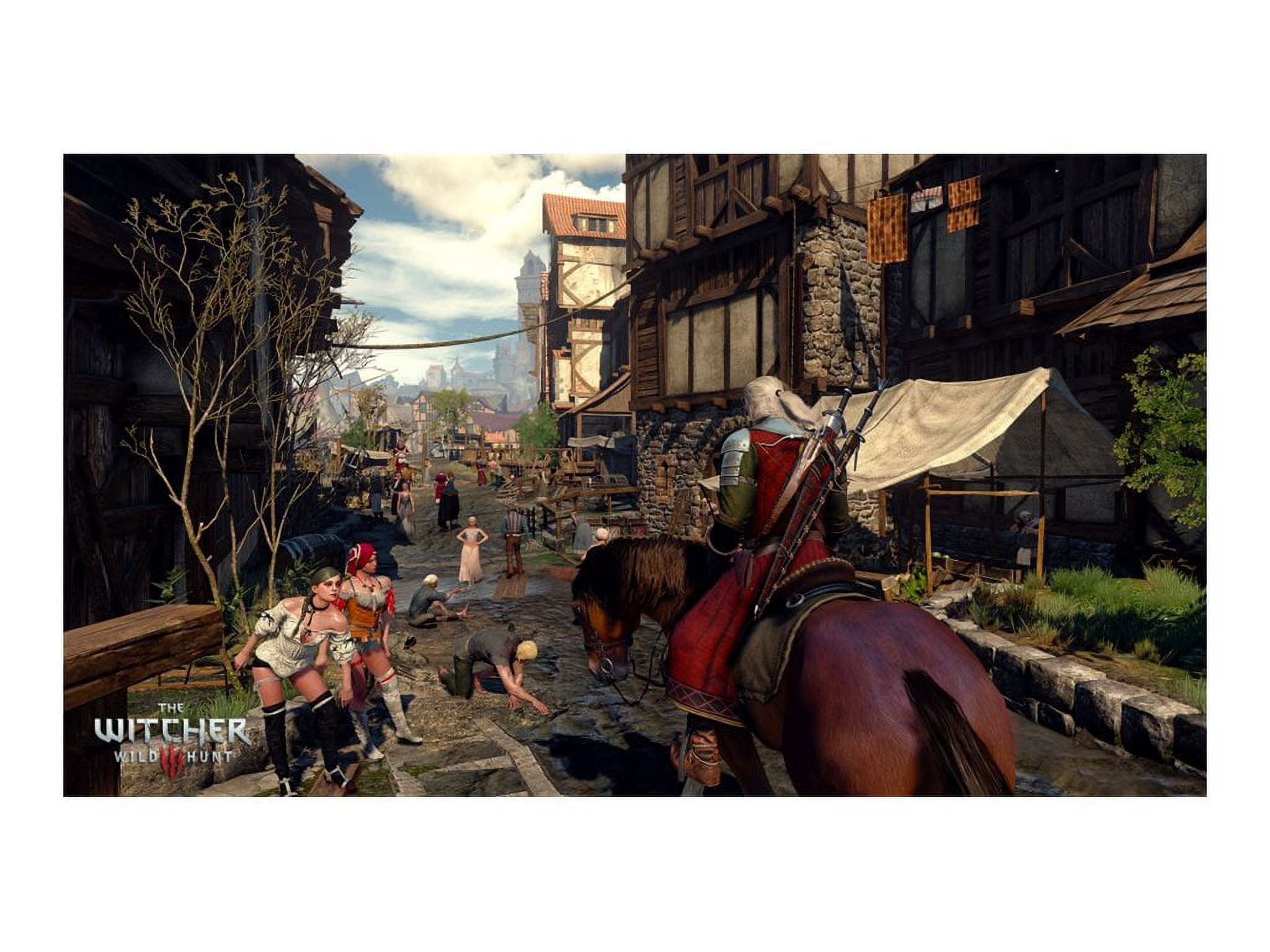 The Witcher 3: Wild Hunt - PlayStation 4 - Walmart.ca