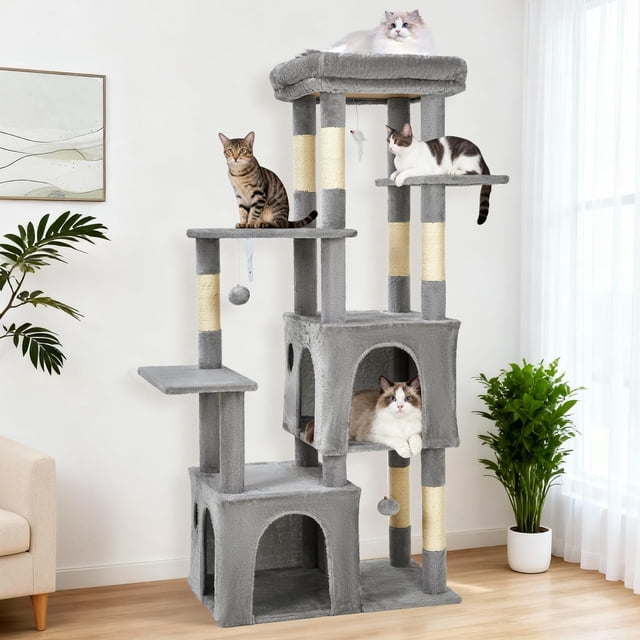 61-inch multi-level cat tree in light gray, designed for large adult and Maine Coon cats. Features an extra-large perch, two spacious condos, natural sisal scratch posts, and dangling play toys. The sturdy construction includes a wide base and multiple platforms for climbing and observation. Four cats of various breeds are shown using the tree in a bright indoor setting with a plant and a sofa nearby.