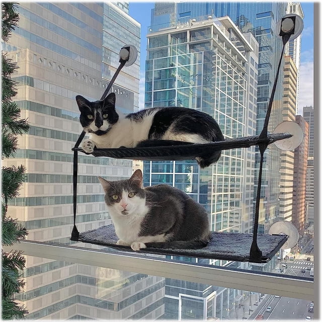 Rebord de fenêtre Kitty à double pile K&H EZ Mount, gris