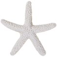 thumbnail image 3 of 30 Pieces creamy-white Pencil Finger Starfish for Wedding Decor, Home Decor And Craft Project, 3 of 6