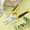 YE, variante sur EGNMCR Ciseaux Multifonctions en Acier Inoxydable Ciseaux en Fer Robustes Ciseaux de Jardin Ciseaux Horticoles pour Fruits et Branches Ciseaux Antidérapants et Économes en Effort Ciseaux Électriques en Acier Inoxydable