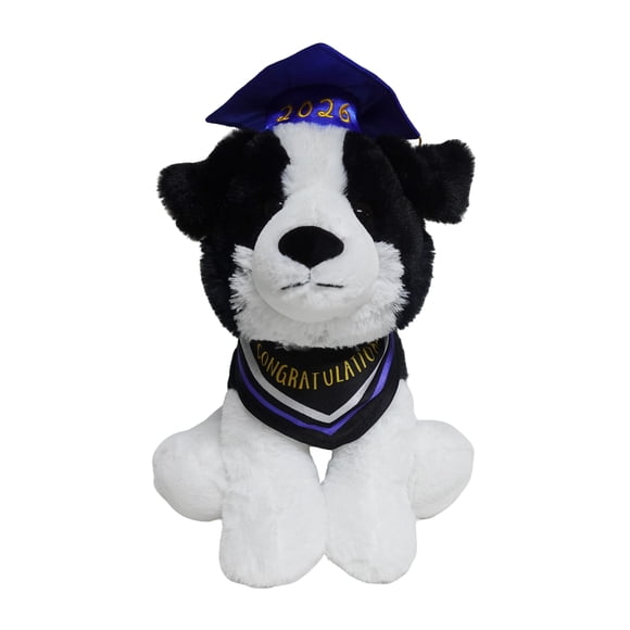 Way to Celebrate Graduation Plush Dog Black, 13inch