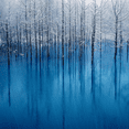 thumbnail image 1 of 3D Wallpaper Forest Painting Parade SKU# WAL0013, 1 of 4