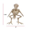 thumbnail image 2 of Estbridge Official Crazybonez Faux Bat Skeleton, 2 of 9