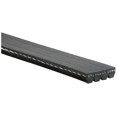 thumbnail image 2 of Ceinture en Serpentin Stretch 4K355SF par ACDELCO PROFESSIONAL CANADA, 2 of 2