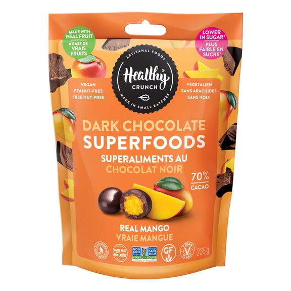 Mango Dark Chocolate Fruit