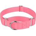 thumbnail image 1 of Collier pour Chien Country Brook Petz Martingale - Collier d'Entraînement Robuste Sans Boucle - Collier de Service pour Tous les Chiots - Collection Vibrante et Colorée (Rose, 3/4 Po, Petit), 1 of 8