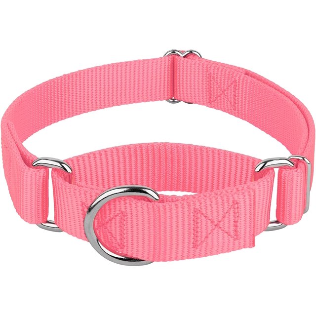 Collier pour Chien Country Brook Petz Martingale - Collier d'Entraînement Robuste Sans Boucle - Collier de Service pour Tous les Chiots - Collection Vibrante et Colorée (Rose, 3/4 Po, Petit)