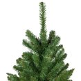 thumbnail image 3 of Northlight Pencil White River Fir Artificial Christmas Tree - 7.5' - Unlit, 3 of 6