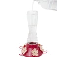thumbnail image 2 of Perky-Pet Top-Fill Favored Pinch-Waist Glass Hummingbird Feeder – 20 oz, 2 of 6