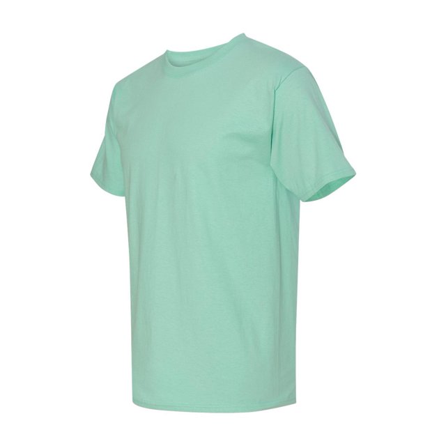 Hanes Men's Authentic-T T-Shirt - 5250T (Pack Of 5)