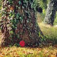thumbnail image 2 of XZNGL 3D Diy Garden Tree Doors Miniature Door Decoration Tale Mini Gift for Kids, 2 of 3