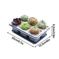 thumbnail image 3 of Wzzjkit Nursery Fleshiness Pots Reusable Planting Trays Suitable for Flowers Vegetables, 3 of 5