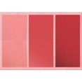 thumbnail image 1 of Ahgly Company Machine Washable Indoor Rectangle Transitional Red Area Rugs, 6' x 9', 1 of 7