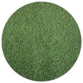 thumbnail image 1 of Green Artificial Grass Rug for Home Use Lightweight Plastic Material Adds Natural Decor Touch 12.5 Inches Diameter, 1 of 8
