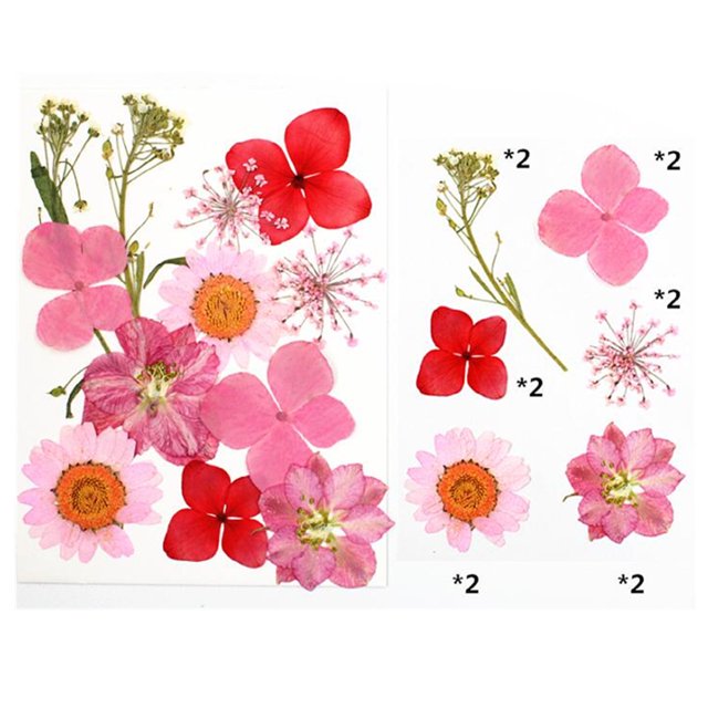 Natural Real Dried Flower Plants For Candle Epoxy Resin Jewelry Making Craft DIY