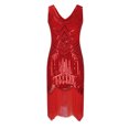 thumbnail image 5 of Birdeem Robe pour Femmes de Printemps et d'Été à Col Rond Sans Manches avec Paillettes et Franges en Forme de Boule, Robe de Fête, Banquet, Danse, Robe Courte, 5 of 5