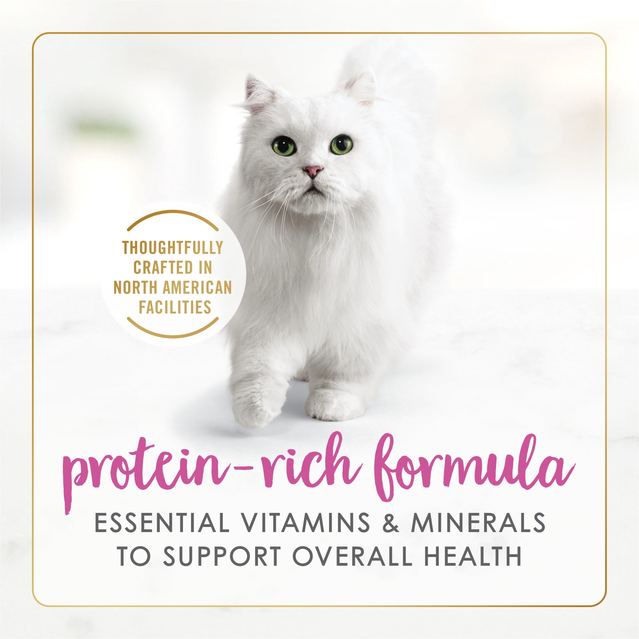 Fancy Feast Plats en Sauce Pâté Festin de Poulet en Sauce, Nourriture Humide pour Chats 85 g