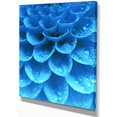 thumbnail image 2 of Large Light Blue Flower and Petals - Floral Canvas Art Print, 2 of 3