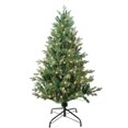 thumbnail image 1 of Kurt Adler TR60450PLC Arbre de Pin Jackson Incandescent Clair Pré-Éclairé de 4,5 Pi, 1 of 1