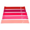 thumbnail image 1 of Muka 5 Pcs Resistance Bands for Working Out, Exercise Stretch Loop for Physical Therapy with Instruction Manual & Carry Bag- Pink, 1 of 7