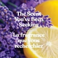 thumbnail image 3 of Bougie en pot parfumée Yankee Candle, collection Studio, 3 of 7