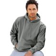 thumbnail image 1 of Hanes Chandail à Capuchon en Molleton pour Adulte en Coton Ultime, m, Charbon Chiné, 1 of 4