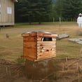 thumbnail image 1 of EDTara Bee Hive Starter Kit, 10-Frame Langstroth Beehive with Deep & Medium Box, Beeswax Dipped, Acrylic Window, 1 of 8