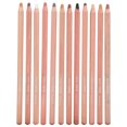 thumbnail image 1 of 12 Professional Colored Pencils, Skin Tone Color Pencils Pastel Pencils  For Artist For Coloring Drawing And Sketching, 1 of 8