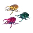 thumbnail image 1 of Jouet Modèle d'Insecte Chaîne Enroulée pour Enfants, Simulation de Coléoptère en Mouvement pour Jeu d'Observation Amusant et Éducatif, 1 of 6