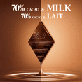 thumbnail image 2 of Lindt EXCELLENCE Fusion 70% Dark & Milk Chocolate Bar, 100g, 2 of 10