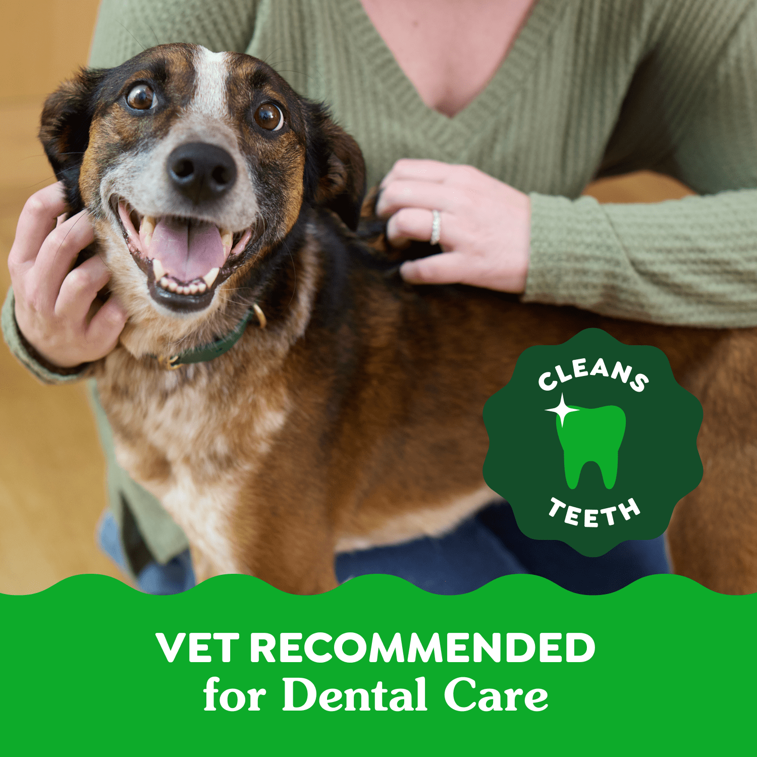 Gâteries dentaires naturelles pour chiens adultes GREENIES Original format MOYEN