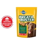 PEDIGREE Breathbuster Gâteries pour chiens, fraicheur pour chien, Biscuits croustillants à l'huile d'Eucalyptus et persil, Moyen & Grands chiens adultes, 500g Pochette