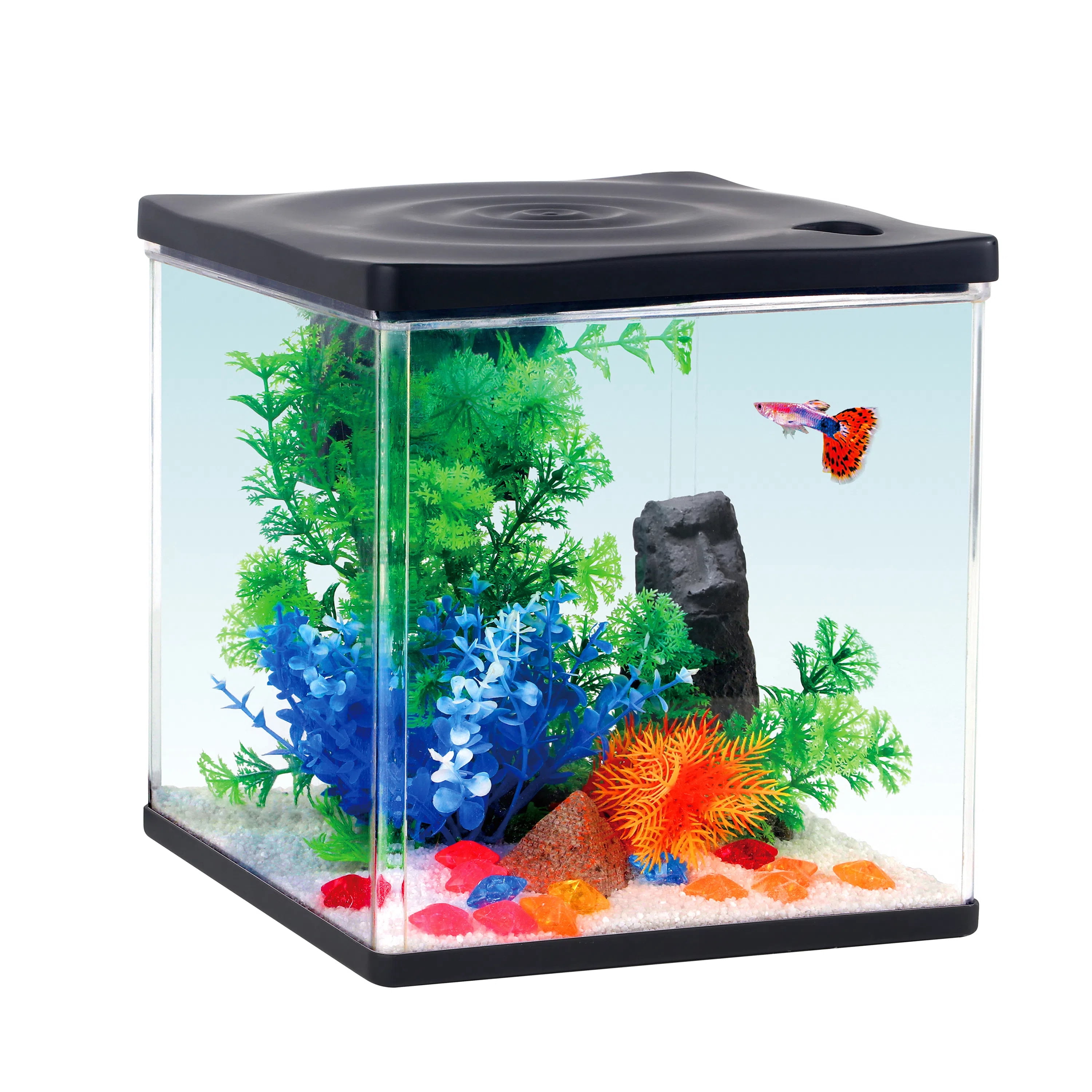 Vibrant Life VL 3G AQUARIUM