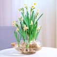 thumbnail image 4 of Raindrops Multi Function Transparent Desktop Aquarium Tank Plastic Fish Supplies with Smooth Surface, 4 of 7
