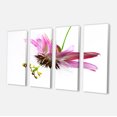 thumbnail image 2 of Passiflora Flower over White - Large Animal Canvas Art Print, 2 of 3