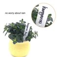 thumbnail image 2 of Plant Marker Garden Labels Flexible Plastic Tags Nursery 10x2 cm, 2 of 11