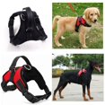 thumbnail image 3 of Comfortable Universal Pet Dog Leash Soft Adjustable Dog Training Leash Wire Pet Daily Walking Traction Rope, 3 of 7