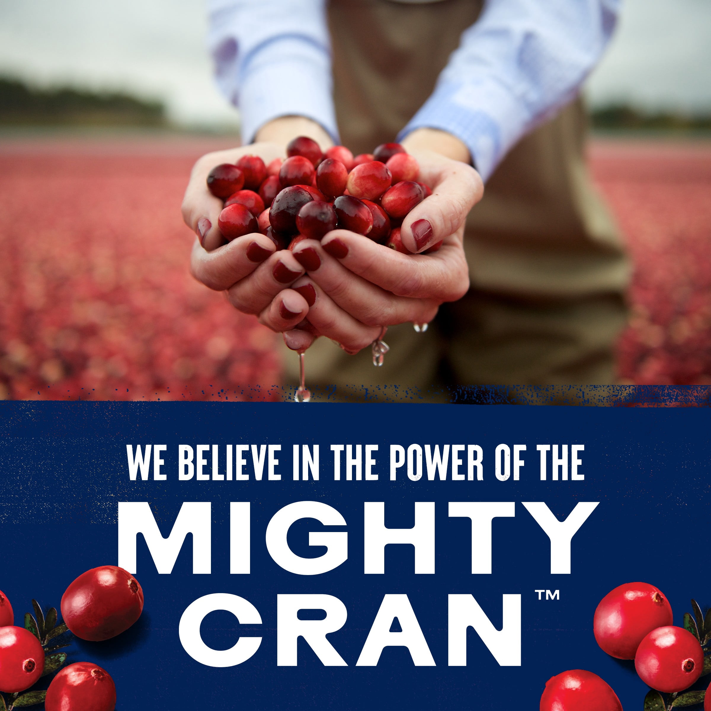 Ocean Spray Cran-Cherry ® Cranberry Cherry Cocktail 1.89L