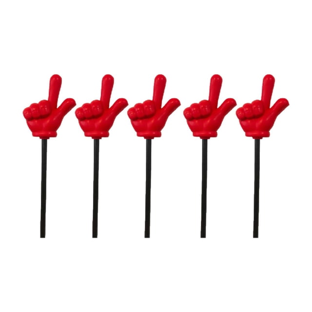 veasfak 5 Pcs Pointeur pour Enseignants Essentiels pour Lecture Fête Enseignement