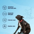 thumbnail image 3 of Gruffies Skin & Coat Dog Treats, 3 of 7