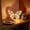 Blue#14882, variant on Lisbinx LED Night Light Marquee Desk Lamp in Lepidopteran (Butterfly) Shape, Warm White, Battery Operated, Plastic Wall Decor for Kids Bedroom, Blue/White, 1 Pack, 27 x 18 x 3 cm