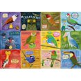 thumbnail image 4 of Buffalo Games - Le puzzle Amazing Nature - Rare Birds - en 500 pièces, 4 of 5