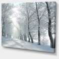 thumbnail image 2 of Winter Country Lane on Frosty Morning - Large Forest Canvas Art Print, 2 of 4