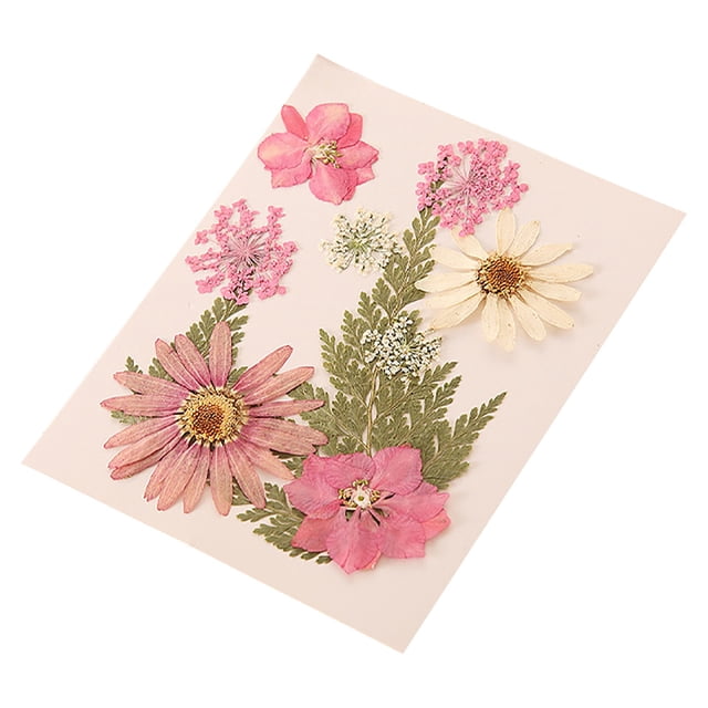 Vaidha Dried And Embossed Flowers For Resin Kit Candles And Crafts