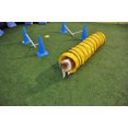 thumbnail image 1 of Cool Runners Puppy Gym Bundle, 1 of 1