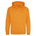 thumbnail image 1 of Awdis Sweat à Capuche pour Enfants / Hoodie / Tenue Scolaire, 1 of 2