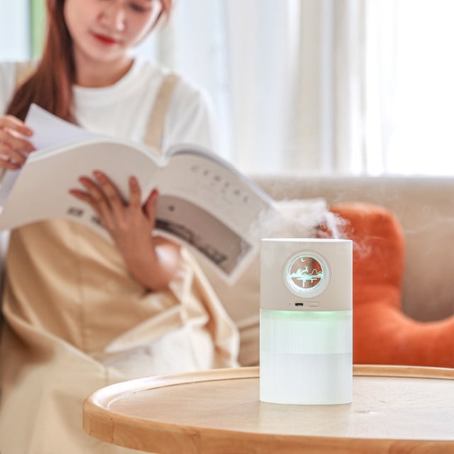 Birdeem Cadeaux pour la Première Maison, Humidificateur Usb, Humidification par Pulvérisation, Aromathérapie Silencieuse pour Mini Maison, Bureau de Chambre, Nuit, Cadeaux pour la Maison, Usb vers Mini Usb